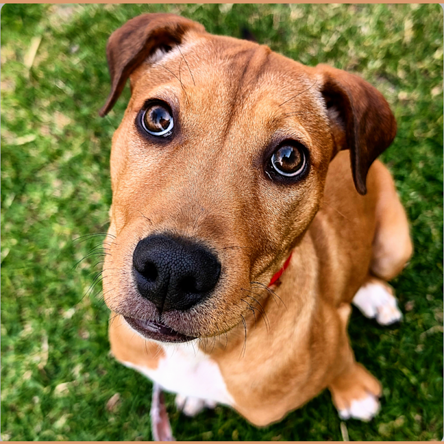 Photo of Betsy