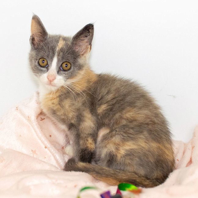 Photo of Maeve