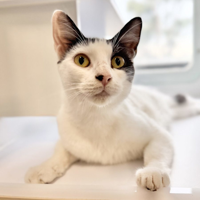Photo of Betty