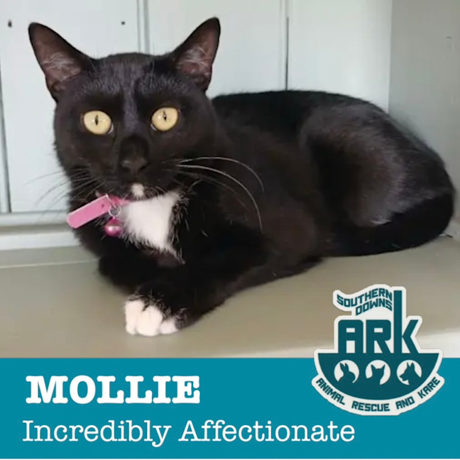 Photo of Mollie