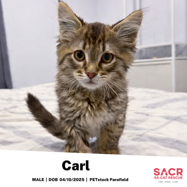 Photo of Carl