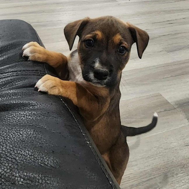 Photo of Marceline The Vampire Queen