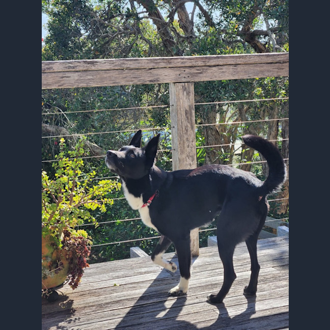 Photo of Billy