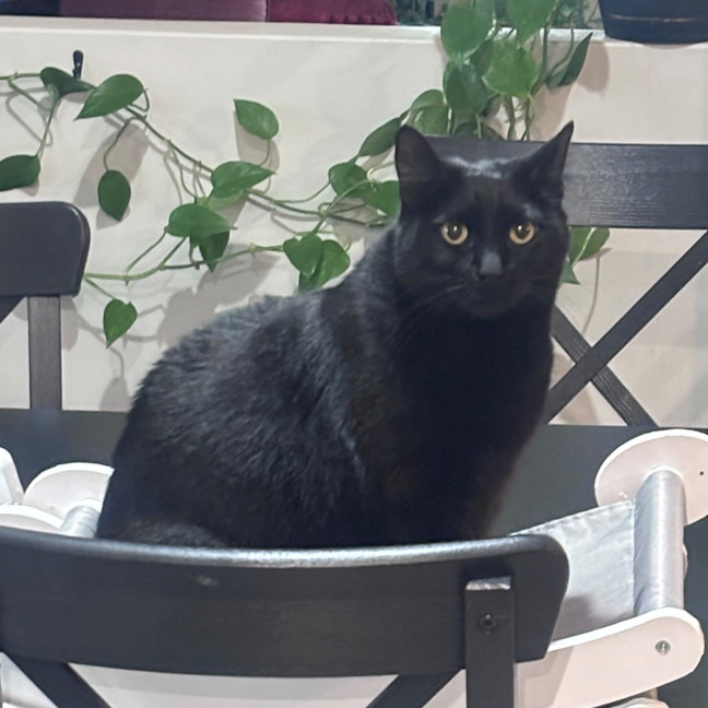 Photo of Sooty
