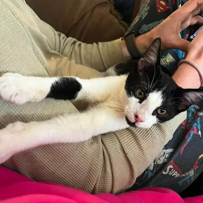 Photo of Gus