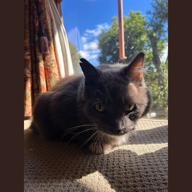 Photo of Humphrey 