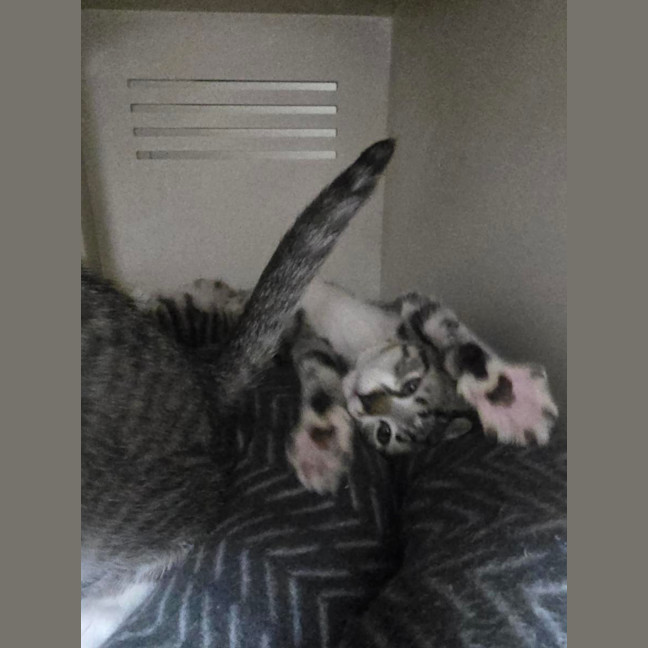 Photo of Darrell Lea