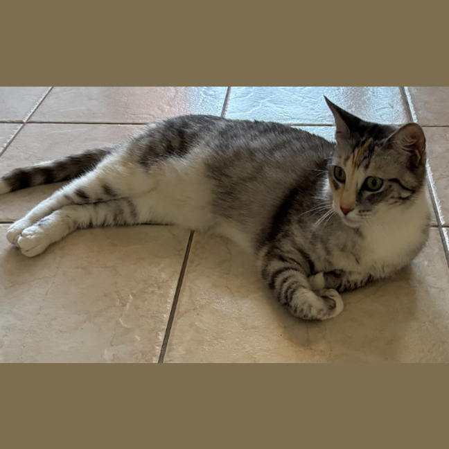 Photo of Happy