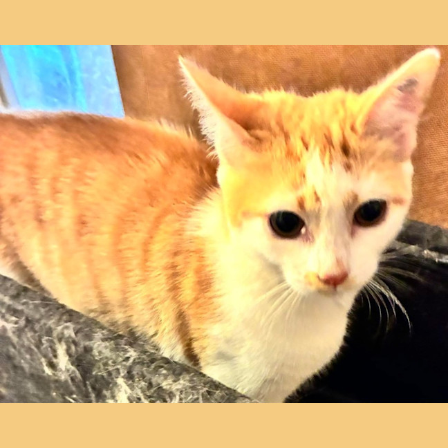 Photo of Dorothy (Dotty)