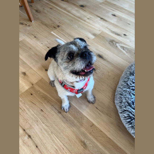 Photo of Molly Wensleydale