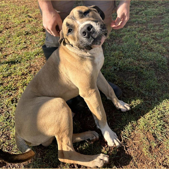 Photo of Archer Tamblyn