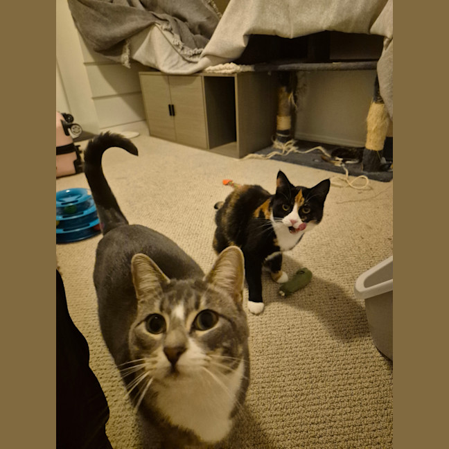 Photo of Carmie