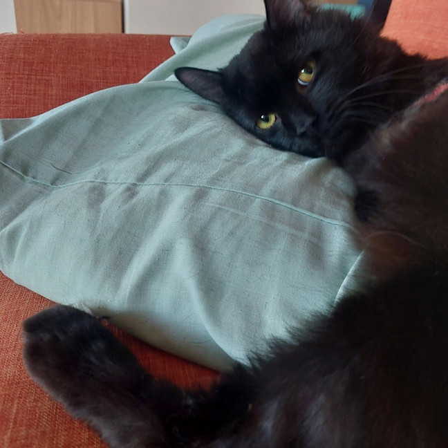 Photo of Theodore