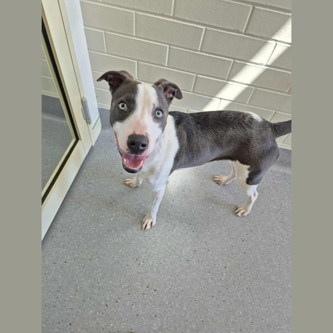 Photo of Zippy! 🪀