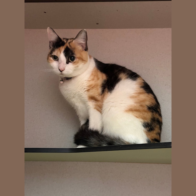 Photo of Tabitha