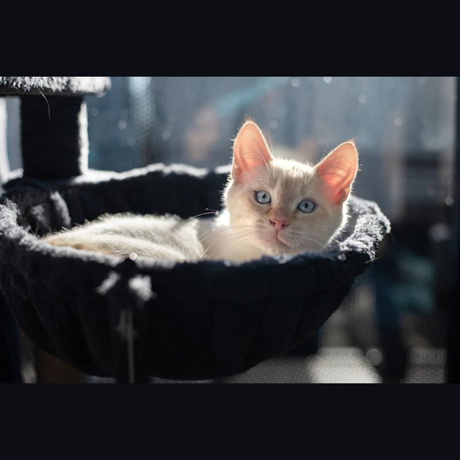 Photo of Oli