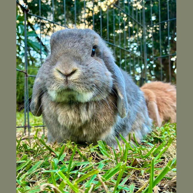 Photo of Denver And Heather