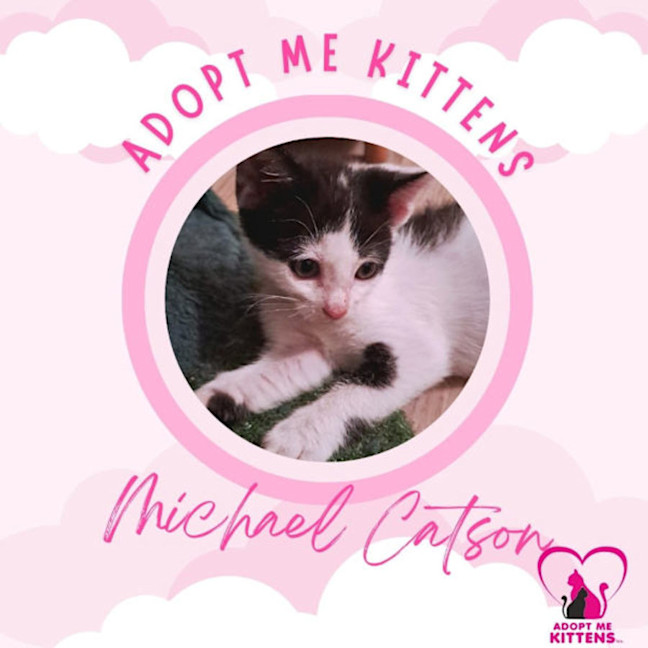 Photo of Michael Catson