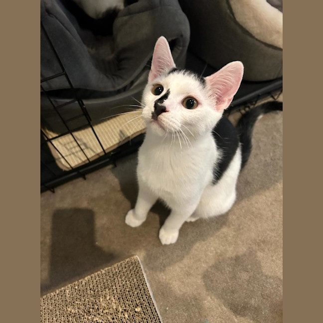 Photo of Georgie