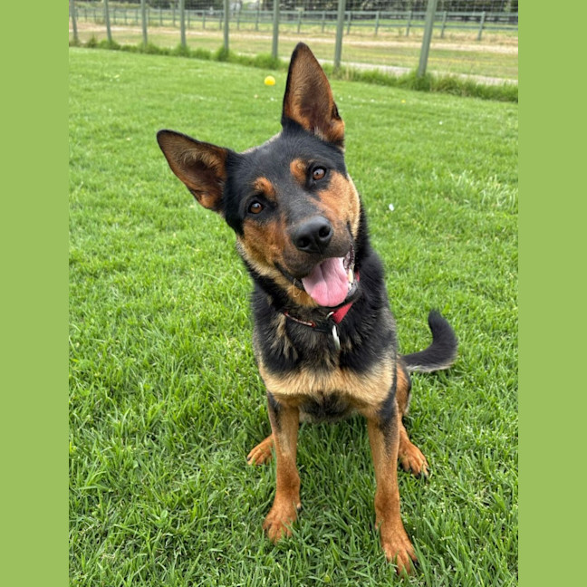 Photo of Tahlee