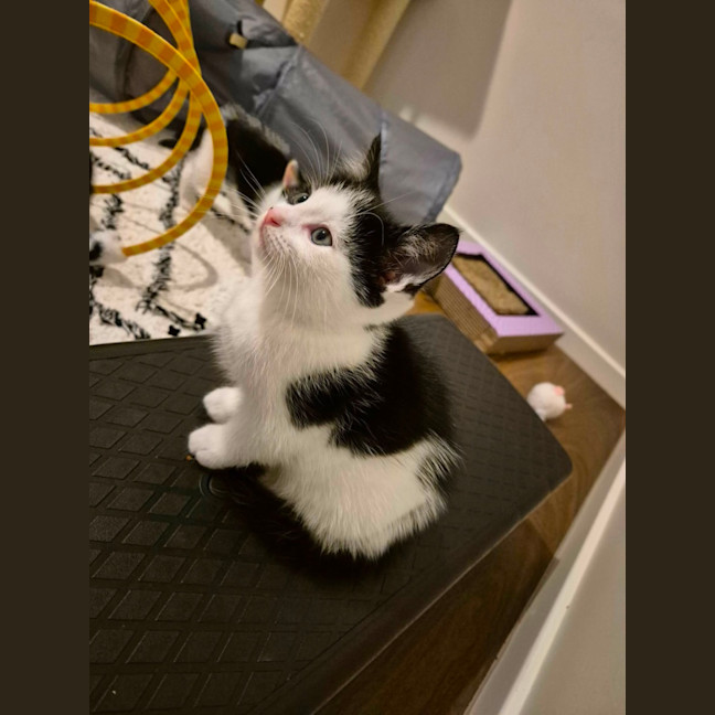 Photo of Roger Meet Me@Petstock Carrum Downs Store 