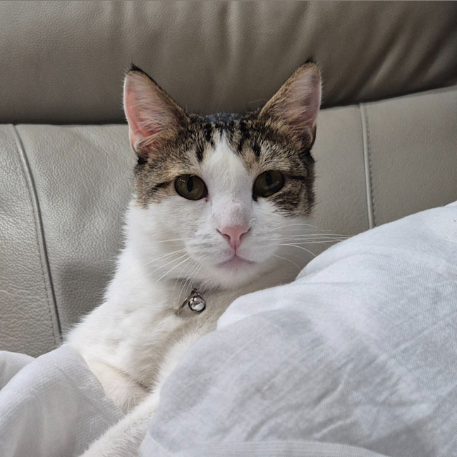 Photo of Leo
