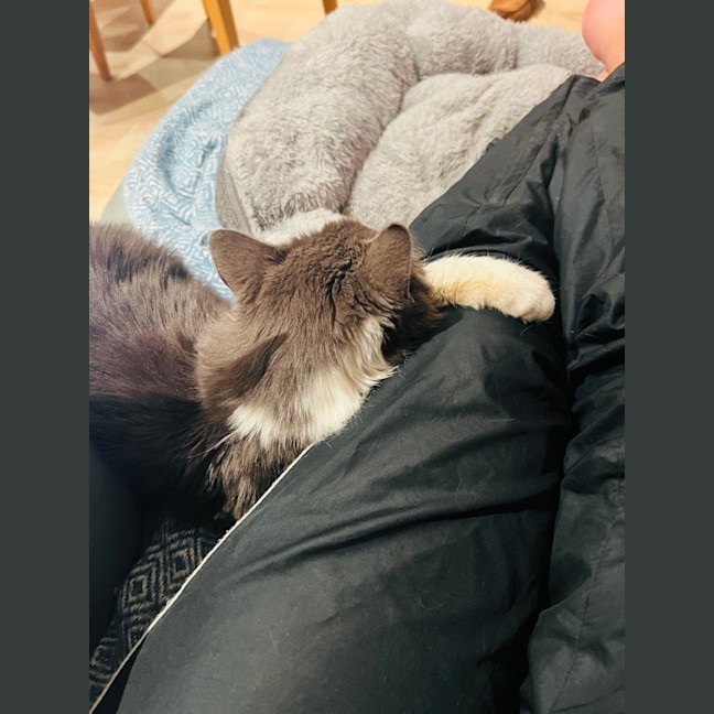 Photo of Harry
