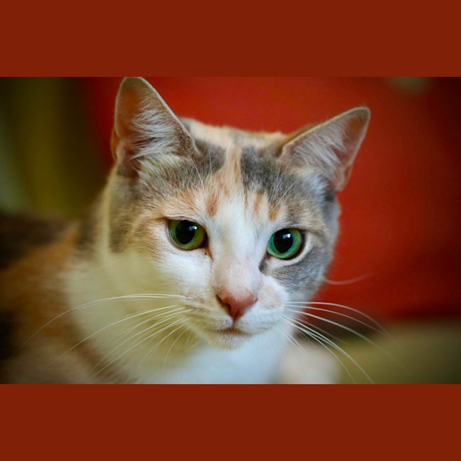 Photo of Wilma 