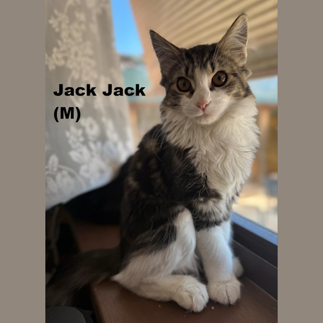 Photo of Jack Jack