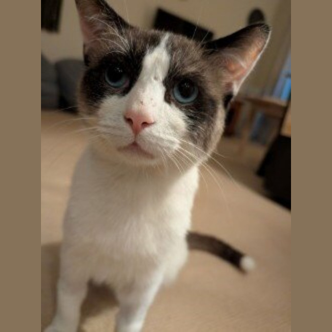 Photo of Yeti