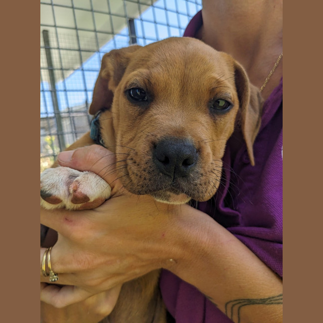 Photo of D1093 Finlay