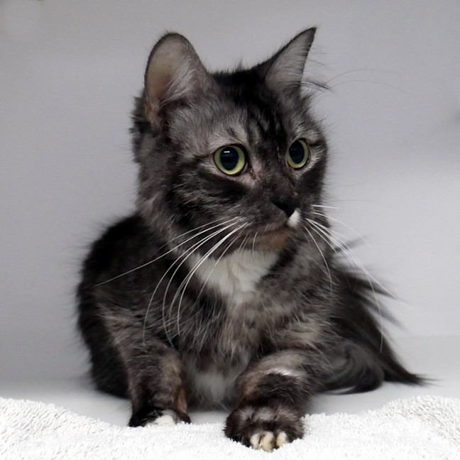 Photo of Kali Sua013099