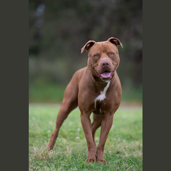 Photo of Mocha