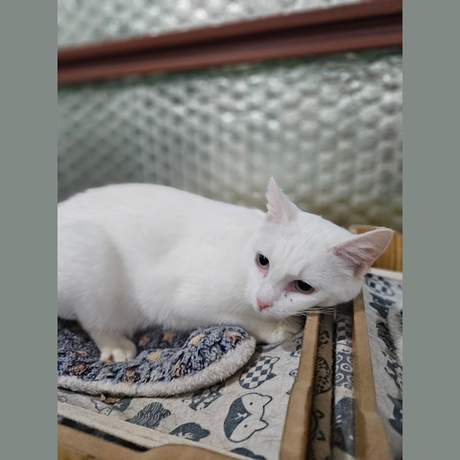 Photo of Rinnie