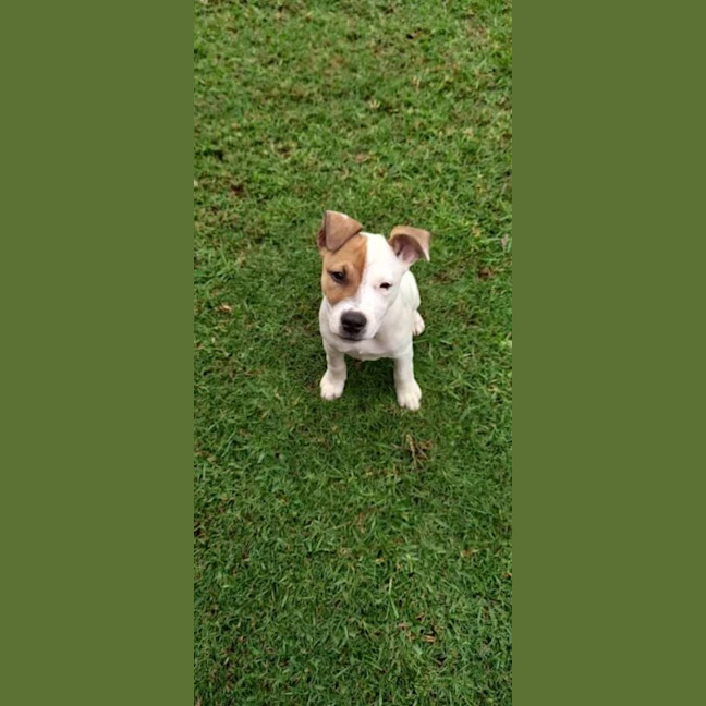Photo of Spud