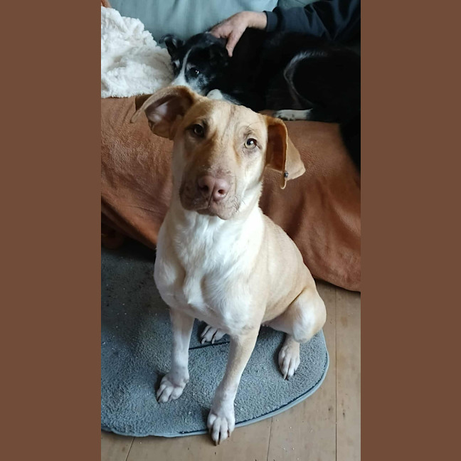 Photo of Missy 