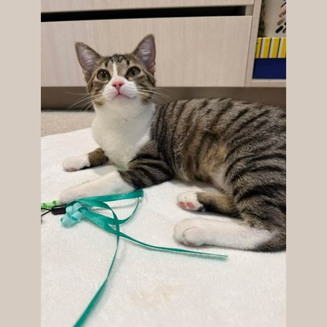 Photo of Cleo