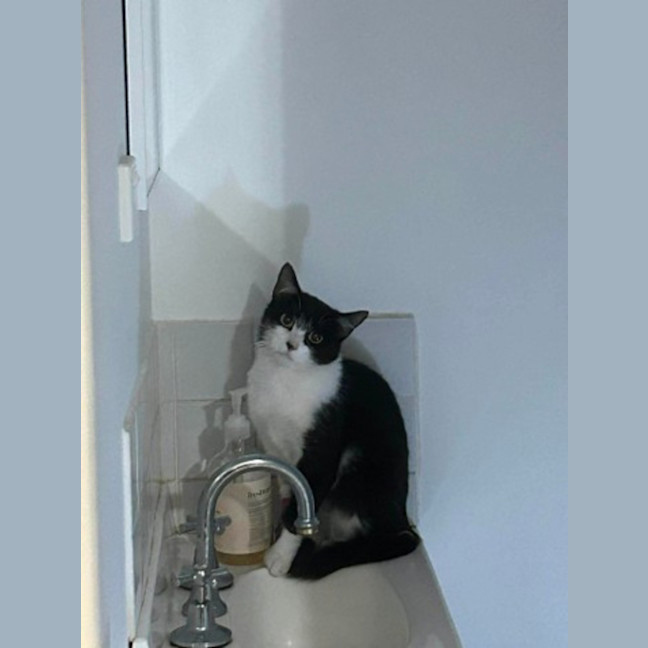 Photo of Sylvia