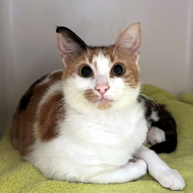 Photo of Sally Sta013385