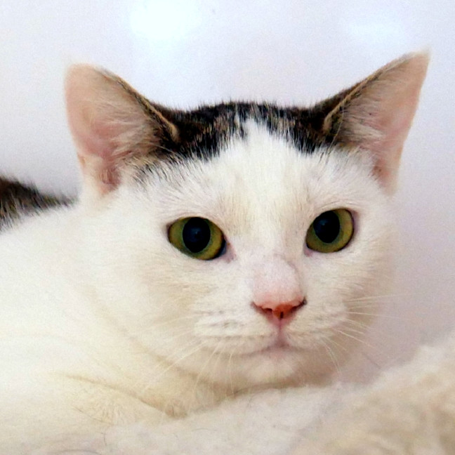 Photo of Aubrey Sta014483