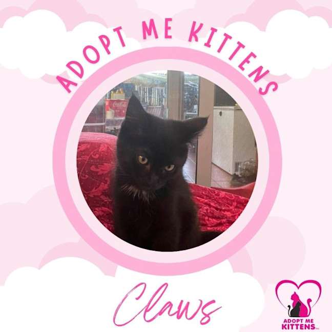 Photo of Claws