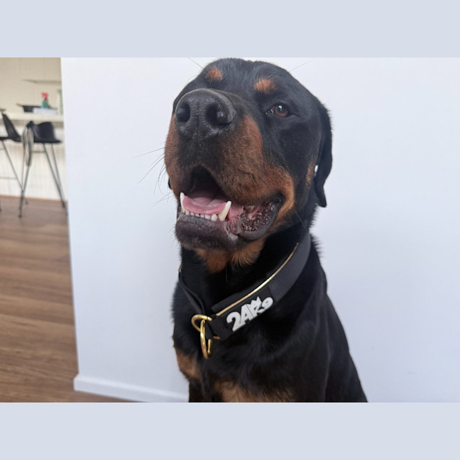 Photo of Murphy