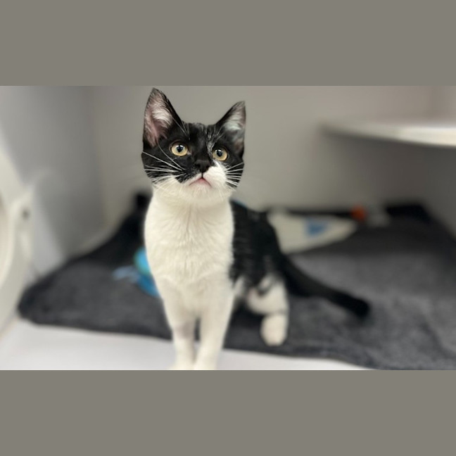 Photo of Beatrix