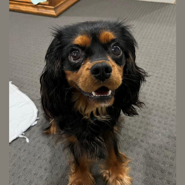 Photo of Walter Quinnell