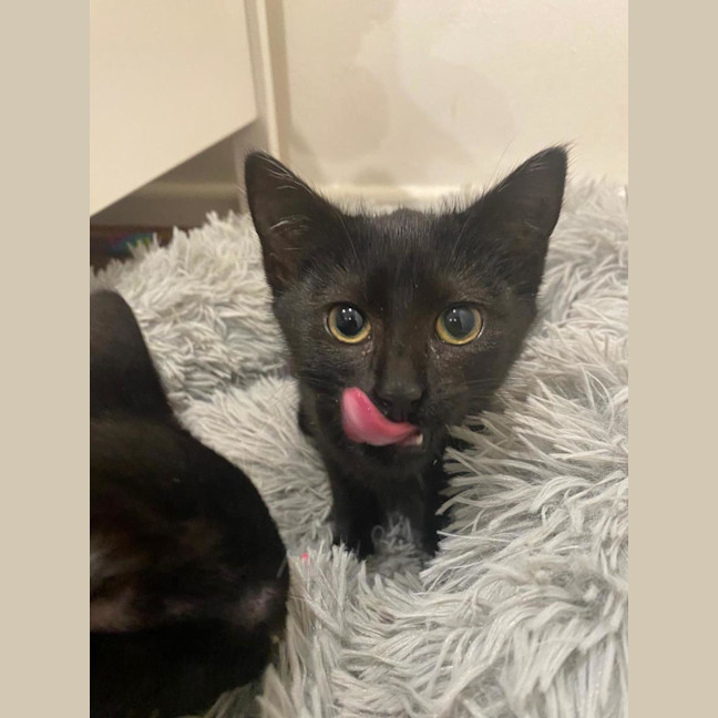 Photo of Wednesday