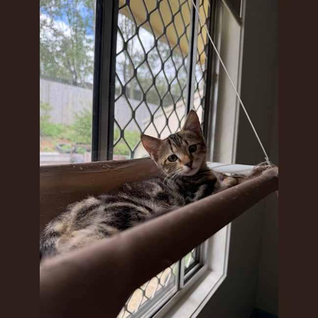 Photo of Tim Tam