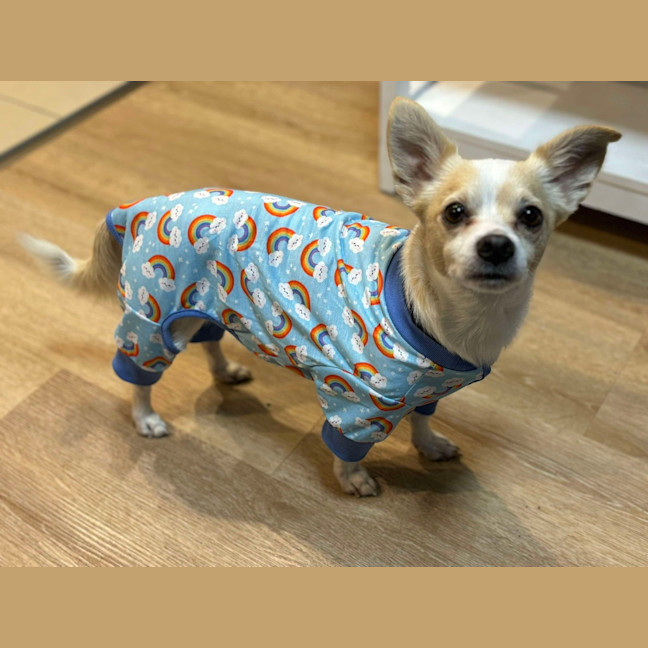 Photo of Jax