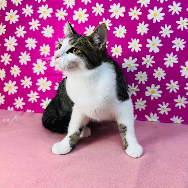 Photo of Jemma   Located In Brunswick East