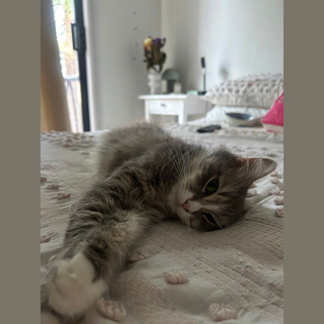 Photo of Pippy