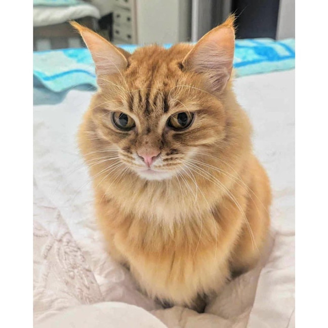 Photo of 322   Brooklyn